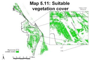 A map of suitable vegetation cover in MINWR. This map was created using a vegetation map derived from LANDSAT images and vegetation height covers derived from a KSC LIDAR data set. 